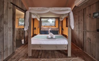 Safari Tent