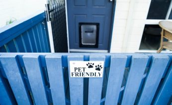 Pet Friendly Villa