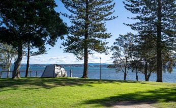 Lakeview Powered Grass Site