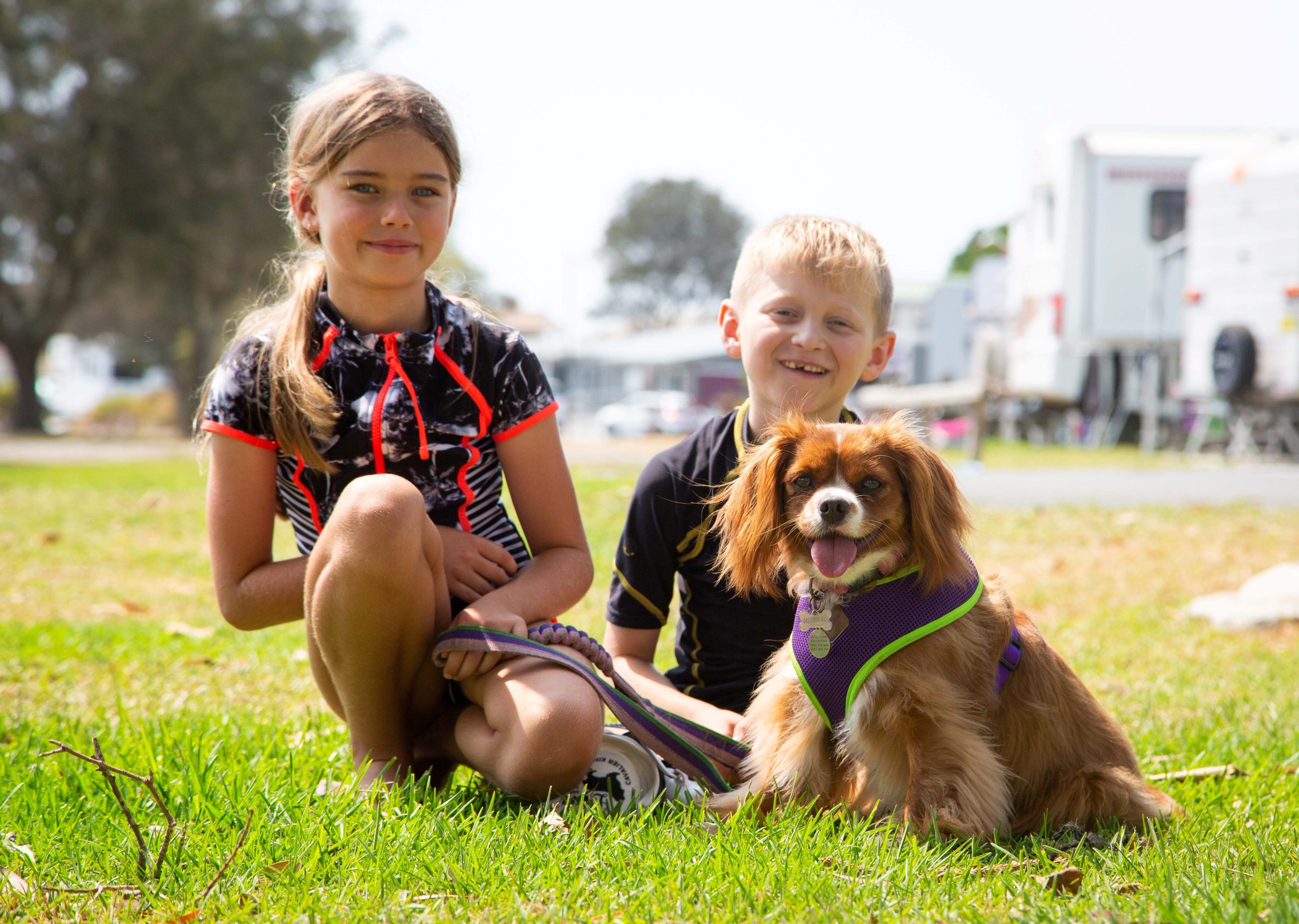 Pet friendly cabins