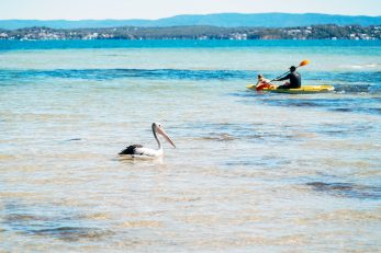 Swansea Lakeside Holiday Park