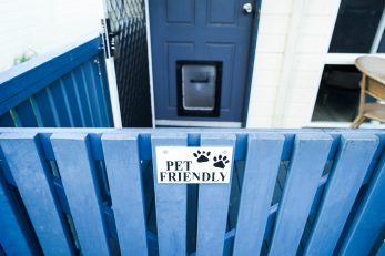 Blacksmiths Beachside Holiday Park - Dog Friendly Cabin