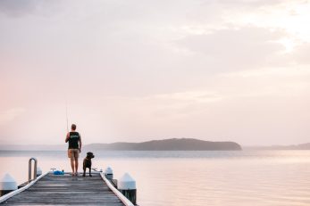 Dog on Jetty at Sunset