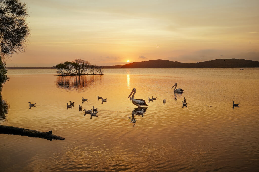 Swansea Lakeside Sunset